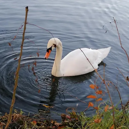 Studio's Park - Heverlee