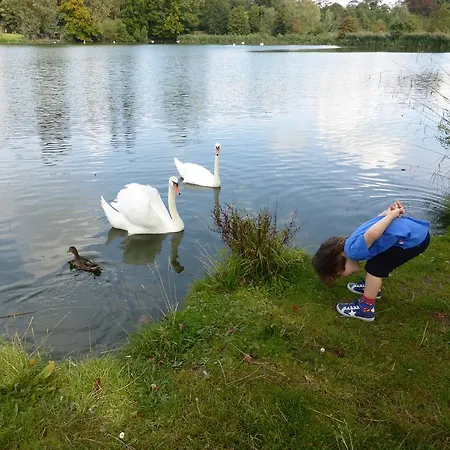 Studio's Park - Heverlee Πανσιόν Λουβέν