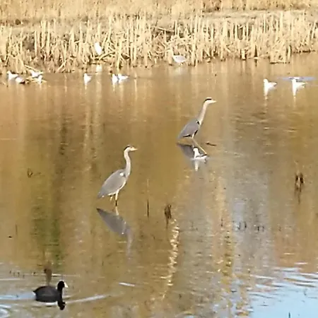 Studio's Park - Heverlee