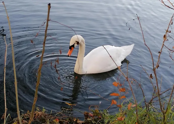 Studio's Park - Heverlee